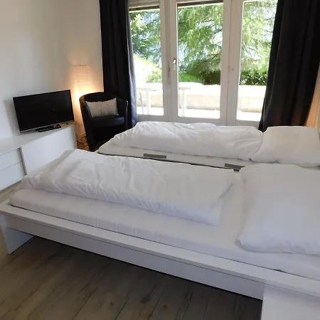 Edelweiss C313 * Бельвальд