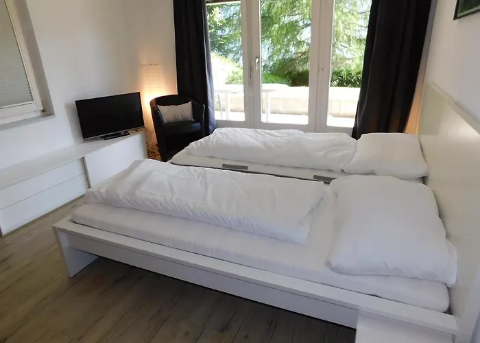 Edelweiss C313 * Bellwal