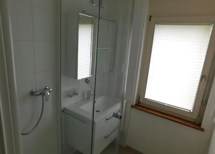 Edelweiss C313 Bellwal